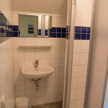 Yoho - International Youth *