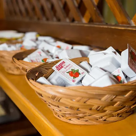 Yoho - International Youth *