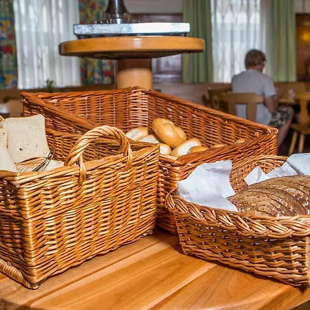 Yoho - International Youth *